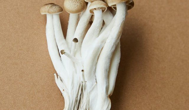 Why Should You Be Concerned With The Magic Mushroom Nz?